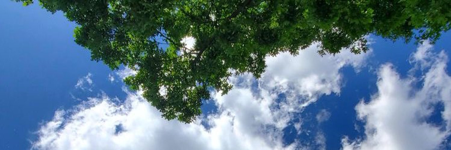Reii_79's profile banner image