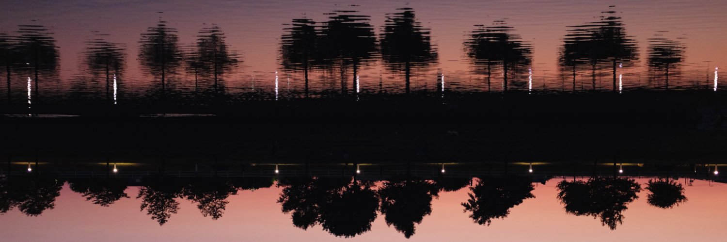 WallingTaylor's profile banner image