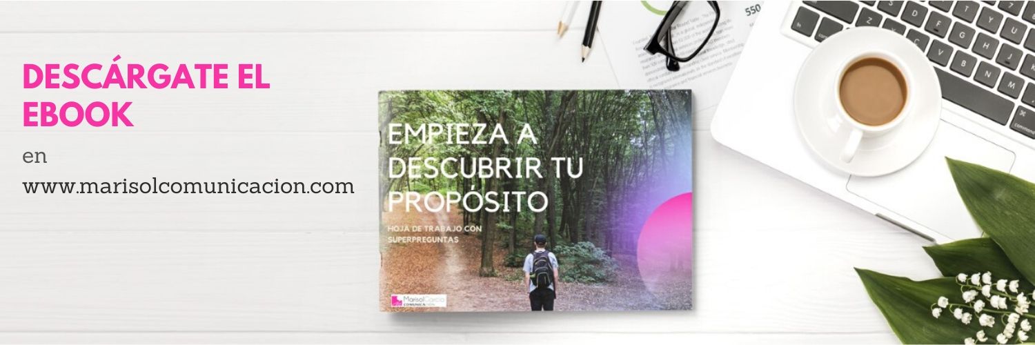 Marisol Garcia 🌐 Marketing Digital banner