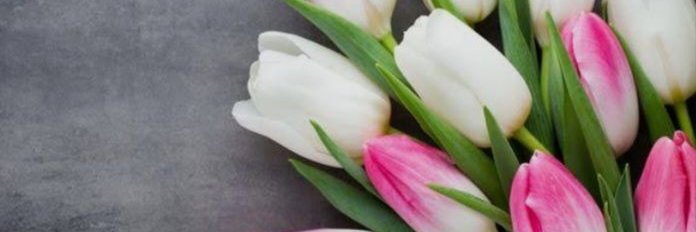 JelenaSimanovic's profile banner image