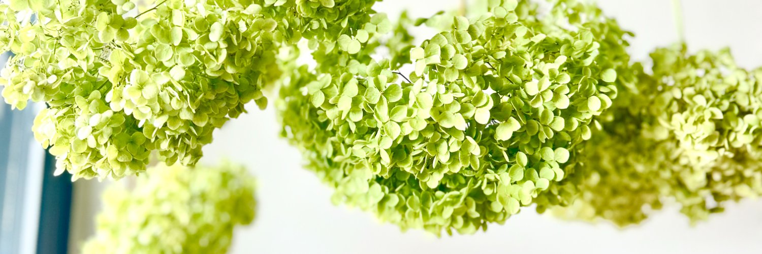 akk_ktym's profile banner image