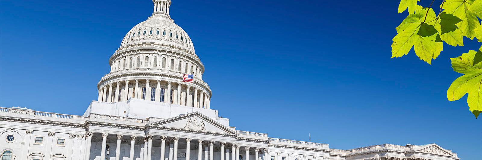 National Parks Action Fund banner