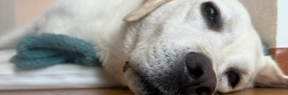 arg_htm's profile banner image