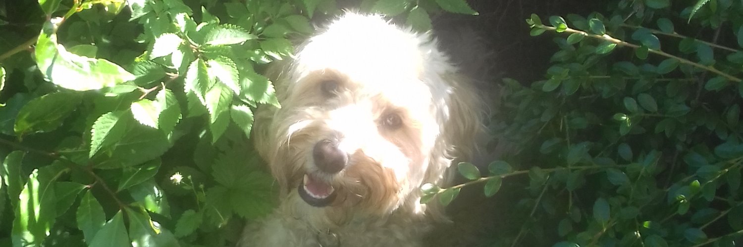 ChrisCheetham2's profile banner image