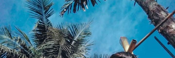 aldzxs's profile banner image