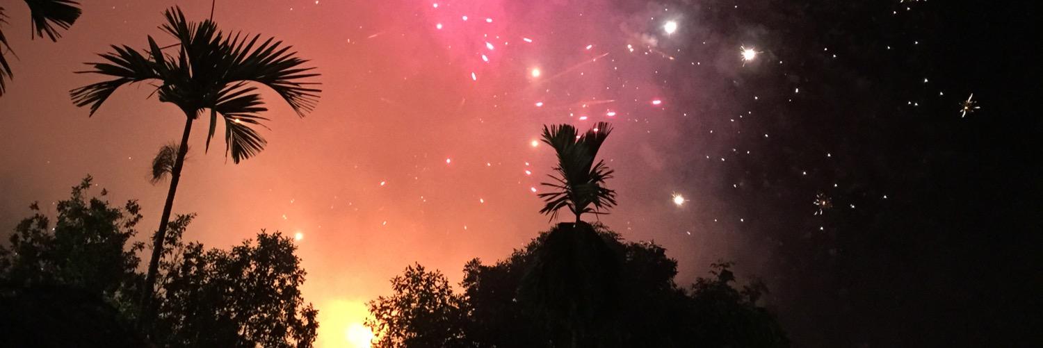 bluecandyflossy's profile banner image