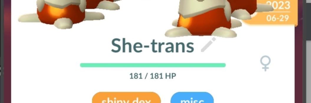 Penis Lover banner
