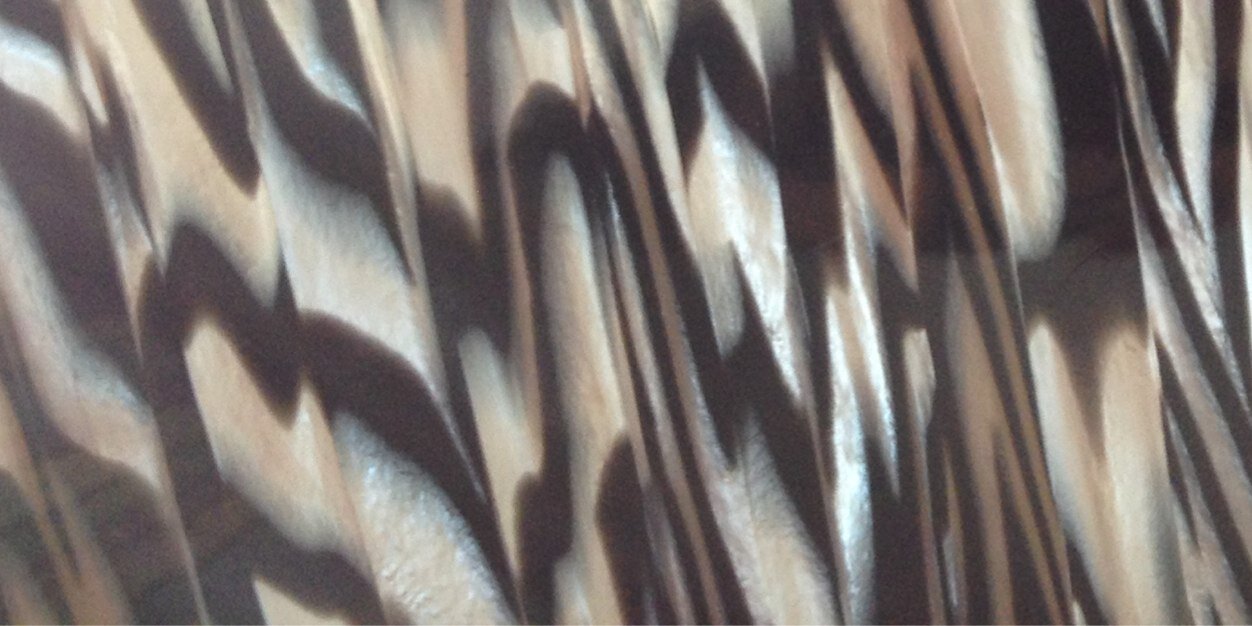 Luciano Galloni banner