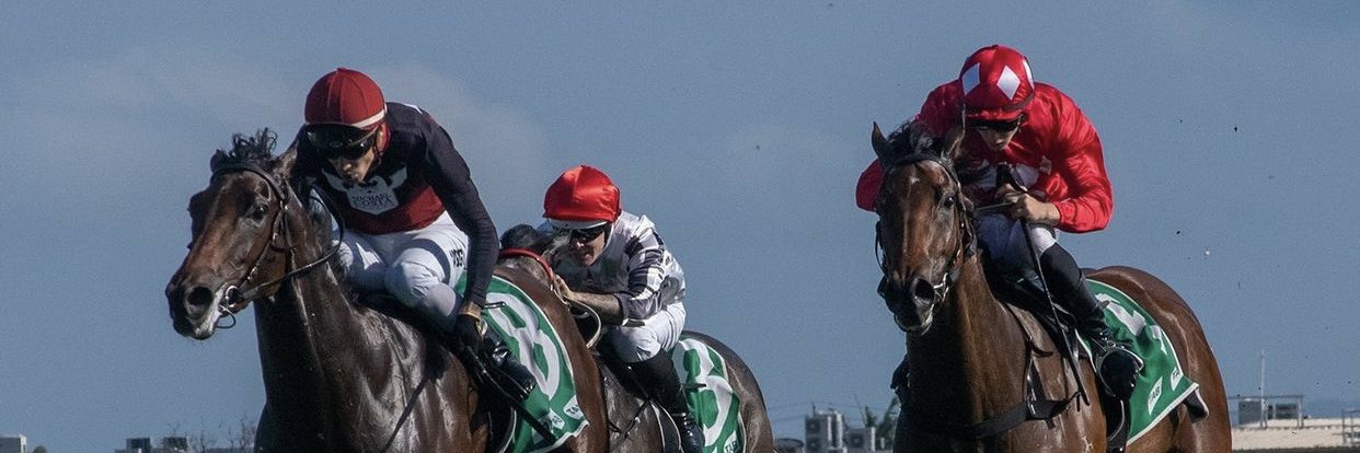 Brendan Moore banner