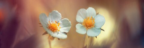 iou_11's profile banner image