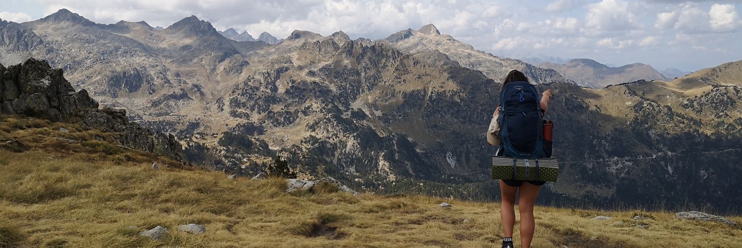 hollymoff's profile banner image
