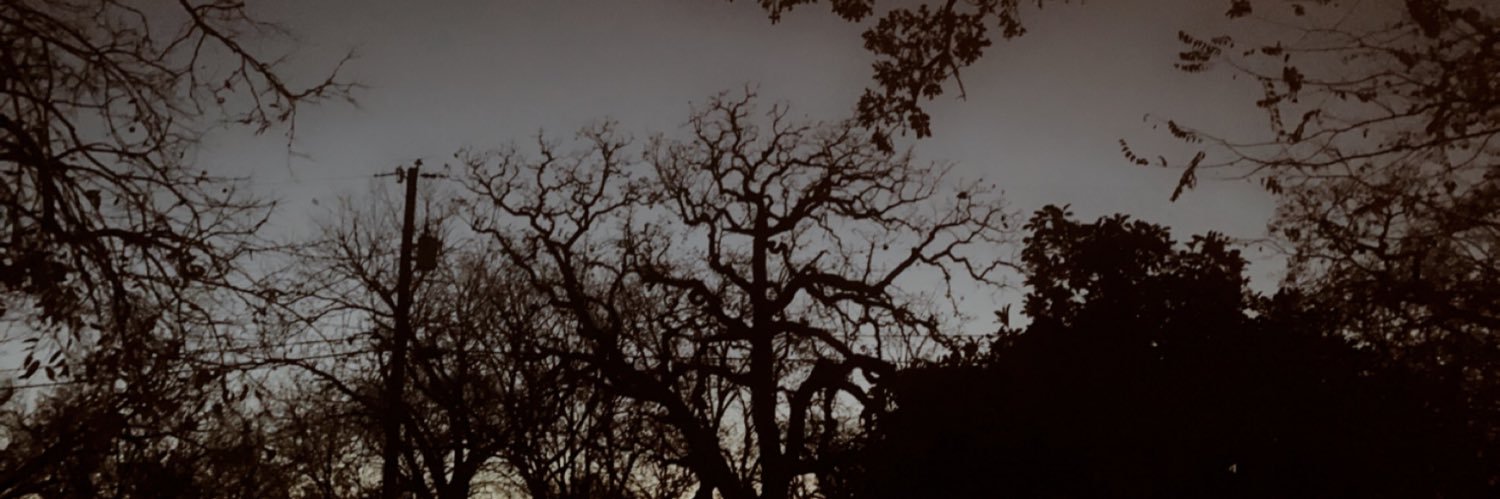 PaytonHatesYou's profile banner image