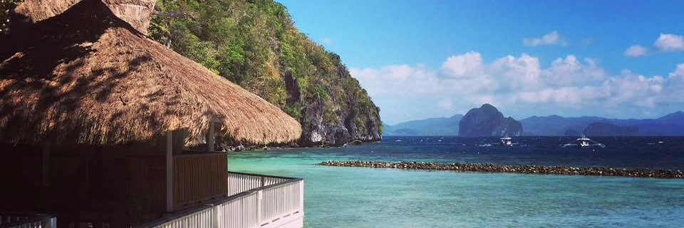 Sarah Elliott banner