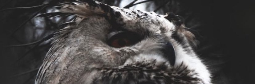 MS_AlOmair's profile banner image