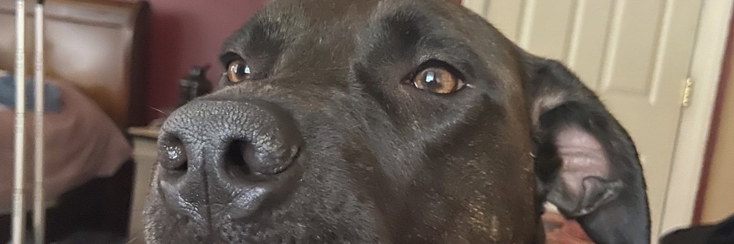 vmcdon5860's profile banner image