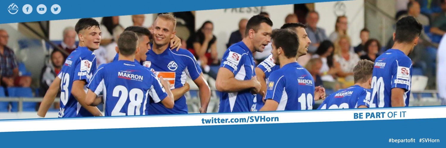 SV Horn banner