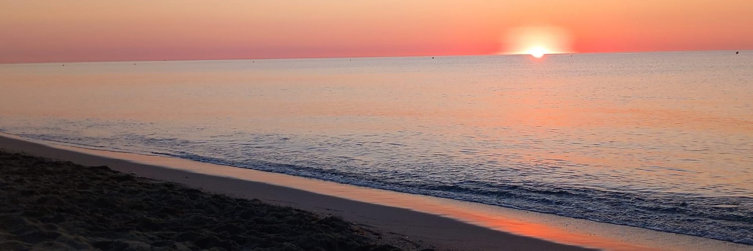 MarkvandeMortel's profile banner image