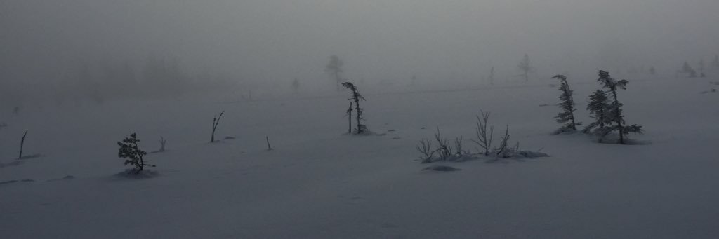 Henning Klauseie 🇳🇴🇺🇦 banner