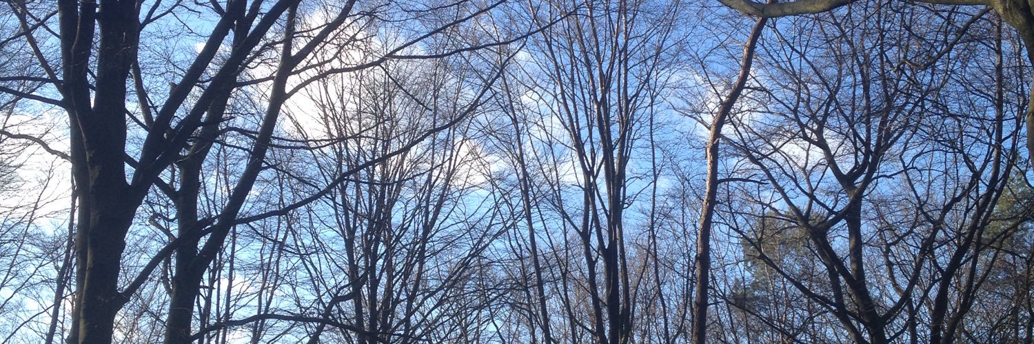 Dominique Viaene 🎗 banner