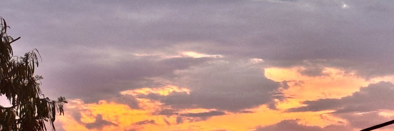Xanaristt's profile banner image