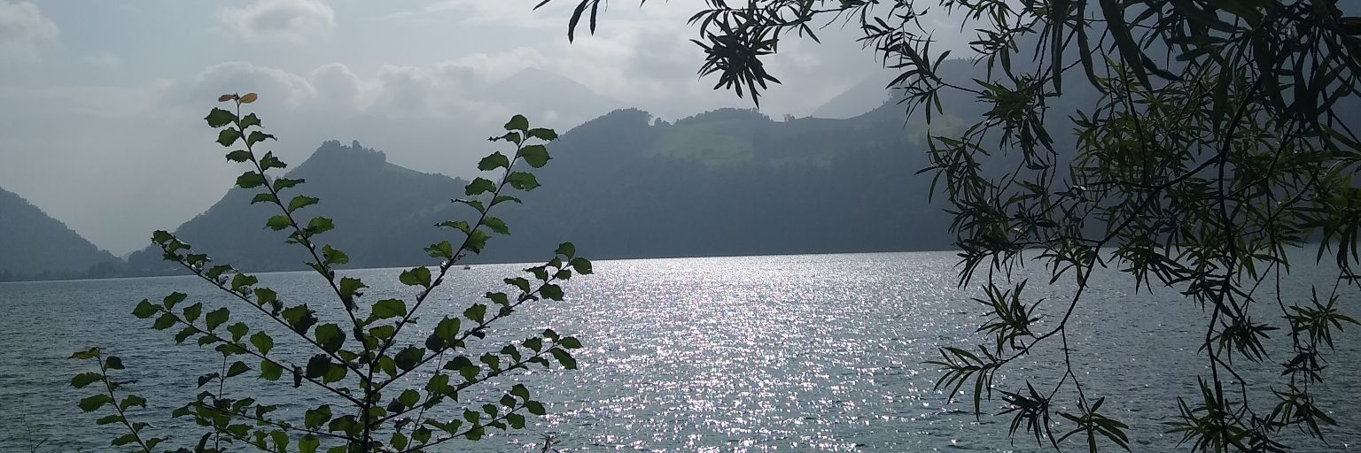 rgermanier's profile banner image