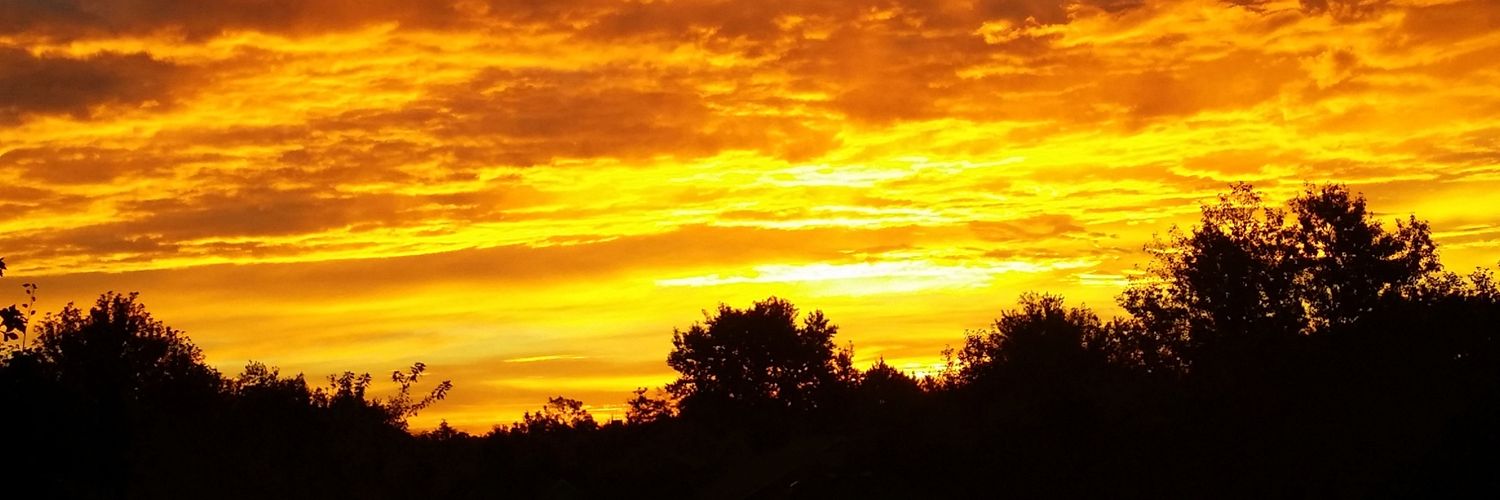 The_only_KO's profile banner image