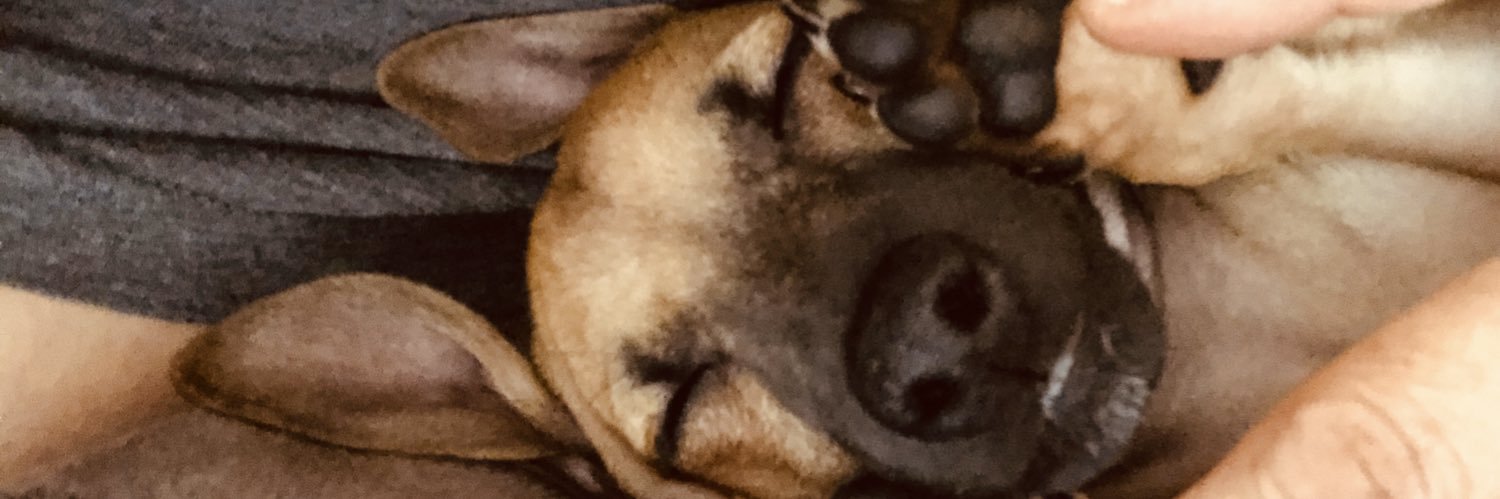 tanyawalks's profile banner image