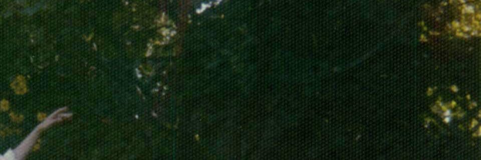TheoThEClEARinG€$ banner