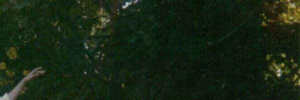 SteadyTheo Profile Banner