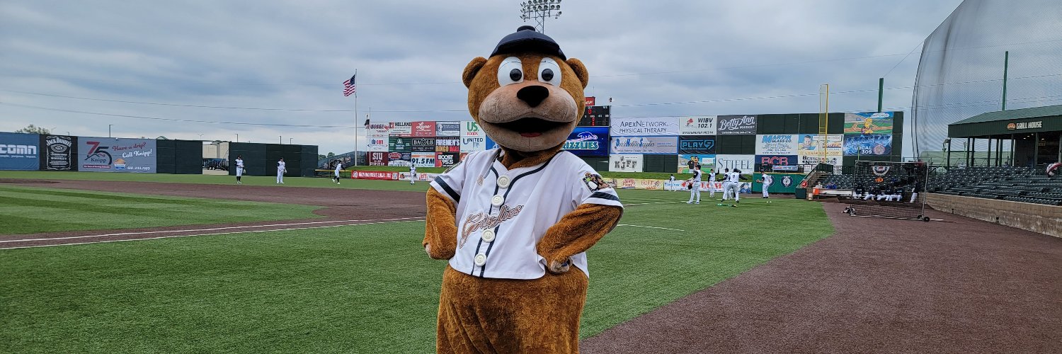 Gateway Grizzlies's banner