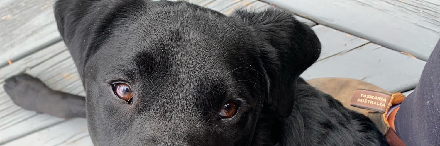 caileyparsons's profile banner image