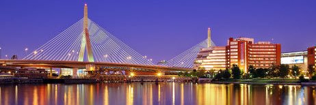 Adrianne DiSimoni banner
