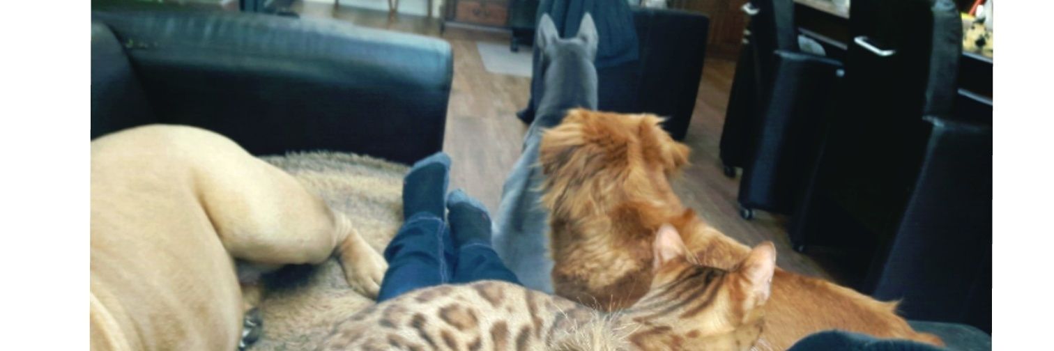 Jessieee15's profile banner image