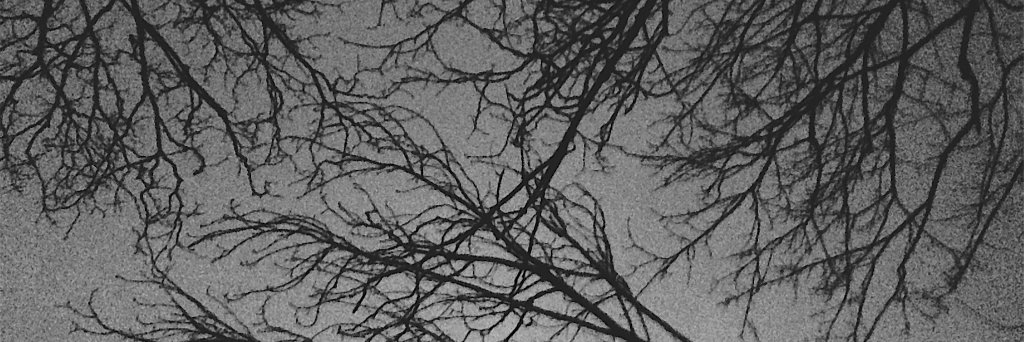 conteflowmis's profile banner image