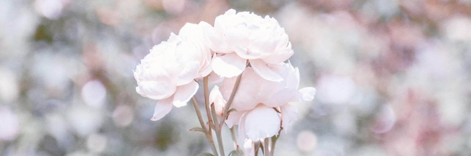 _nhylisa's profile banner image