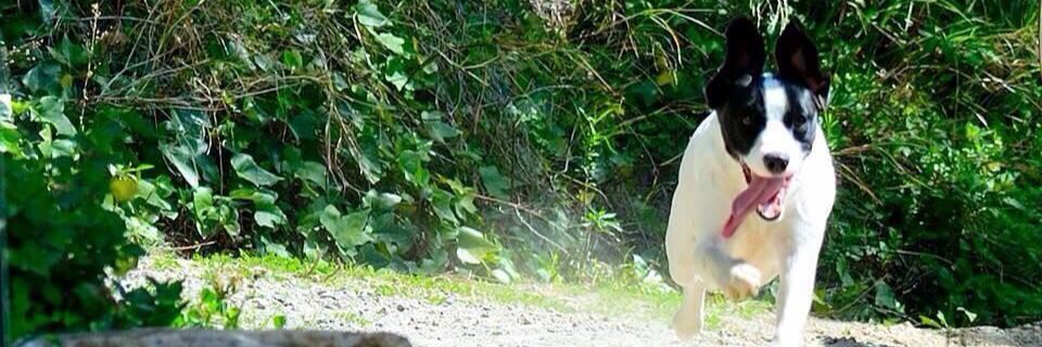 Ireeneee18's profile banner image