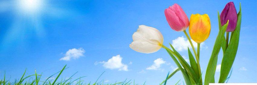 Sandy14209's profile banner image