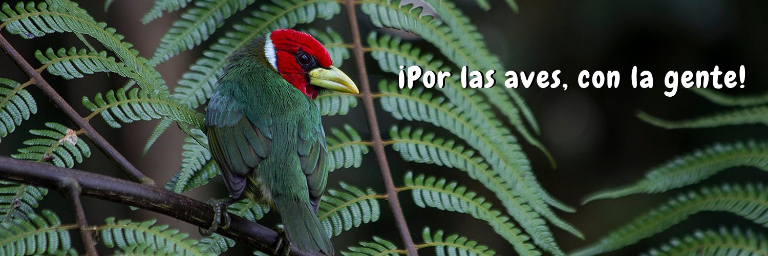 Asociación Calidris banner