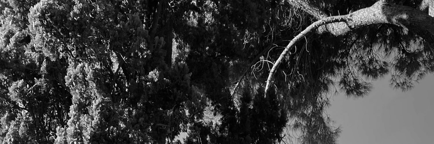 Raúl banner