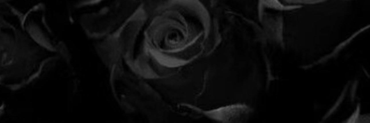 gryffngal's profile banner image