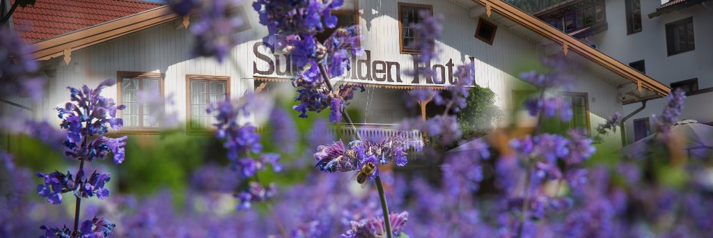 SundvoldenHotel's profile banner image