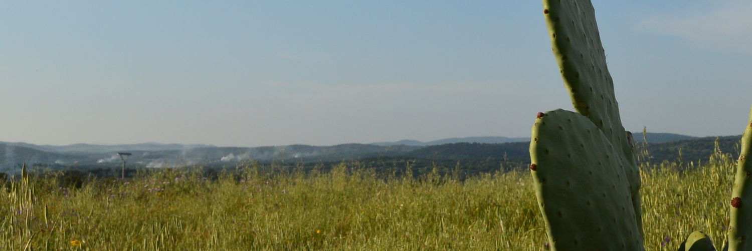 yaizaSL21's profile banner image