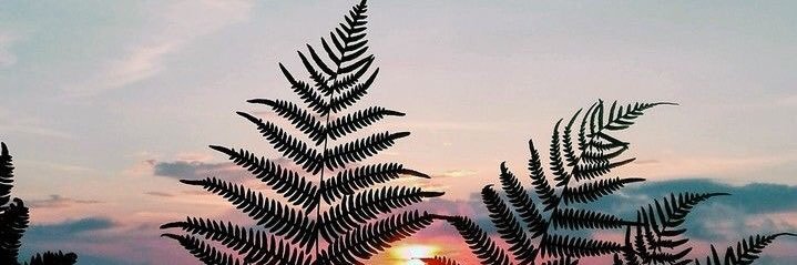 EmilyMiers96's profile banner image