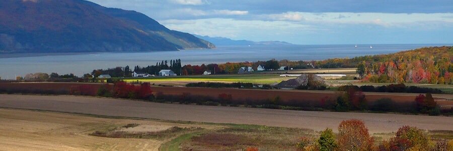 Jacques Grisé, Ph.D., F.Adm.A. banner