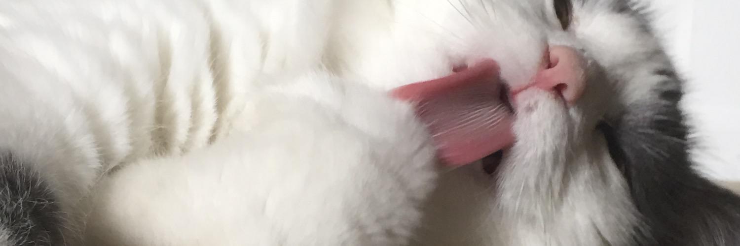 kelsey_like's profile banner image