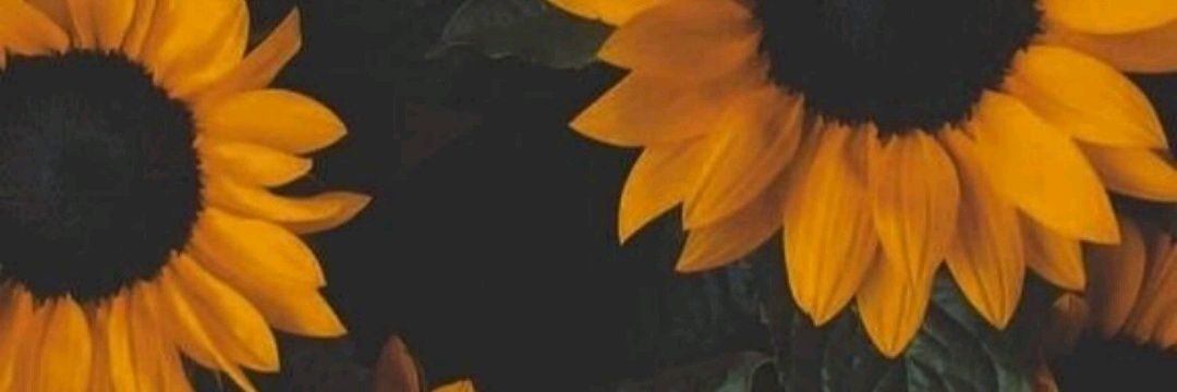 MariaRomo10's profile banner image