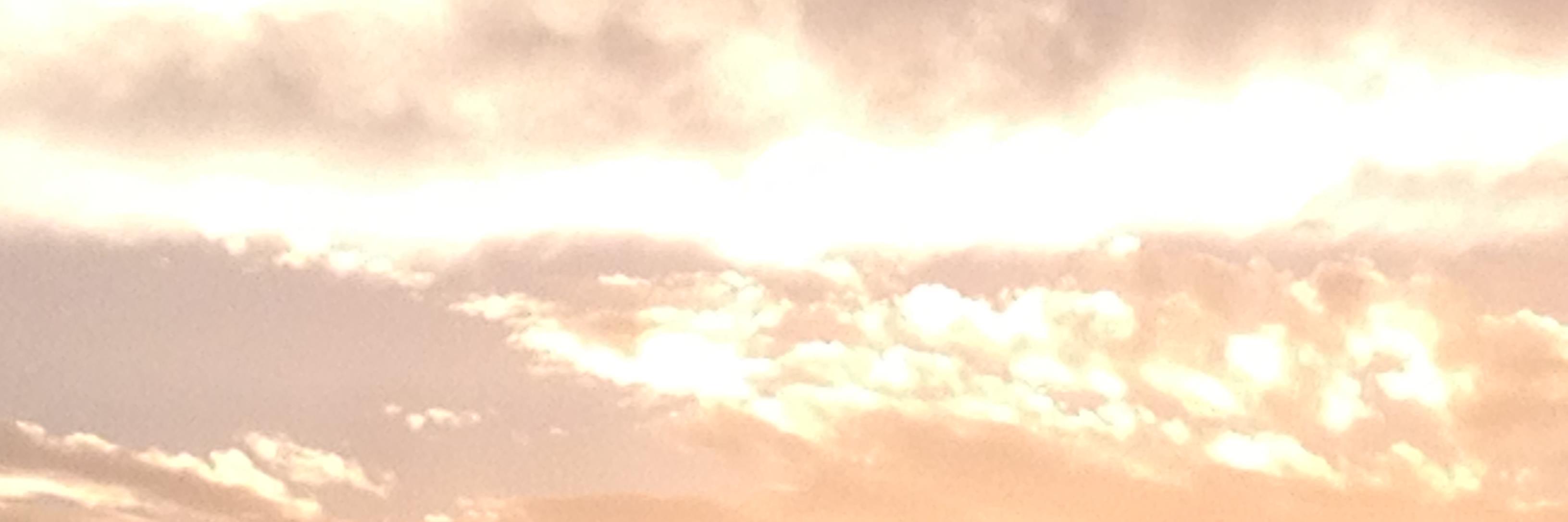 MgM00_'s profile banner image