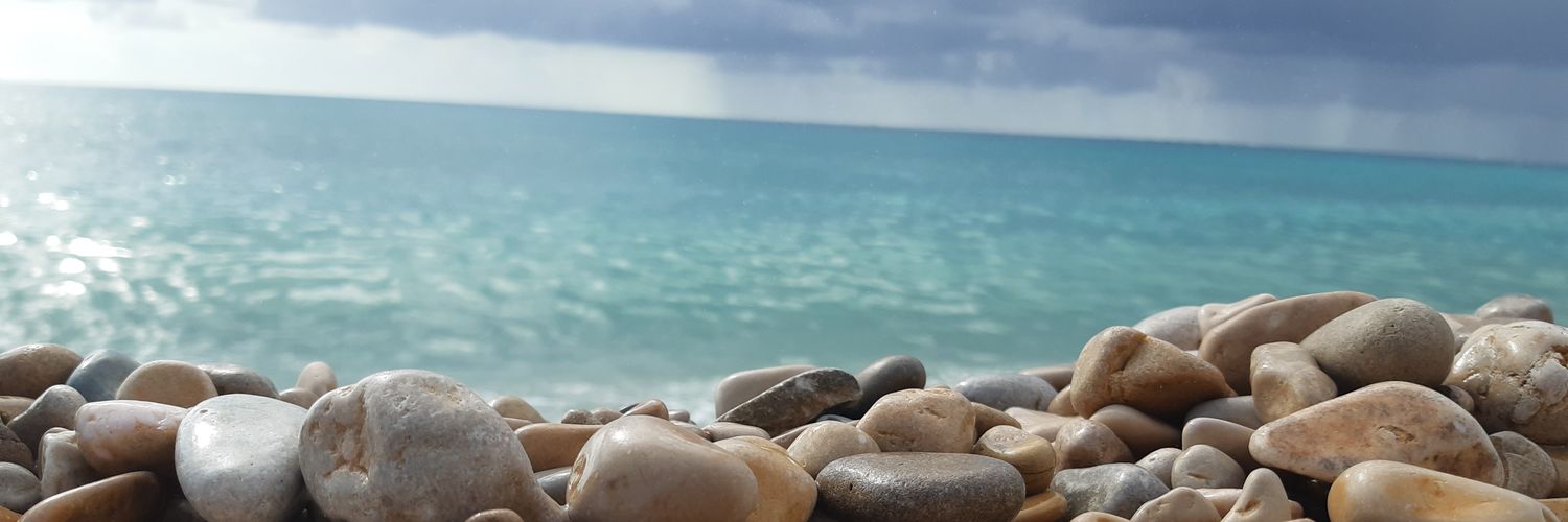 Javier Pardo banner