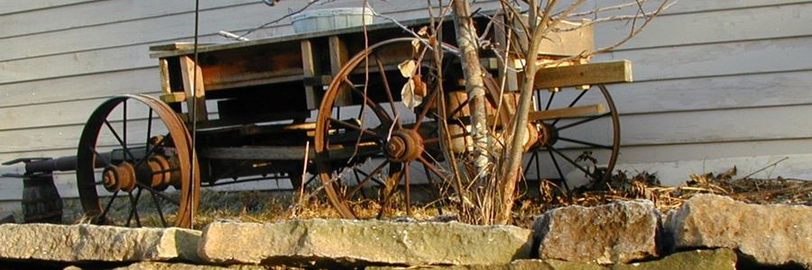 myooglee's profile banner image