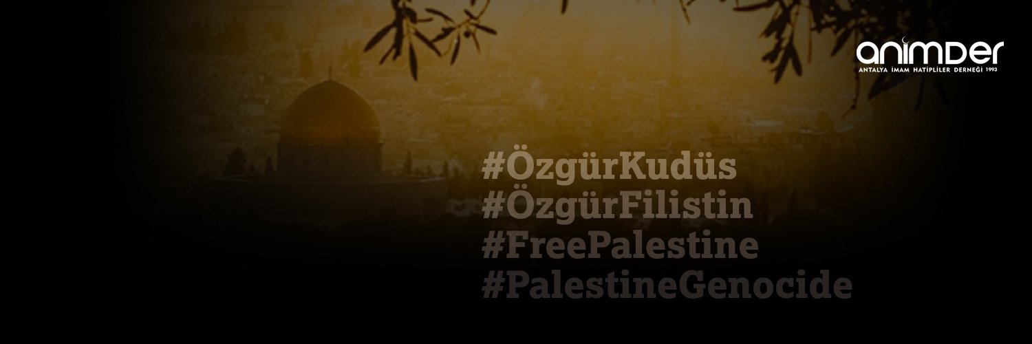 animderihl's profile banner image